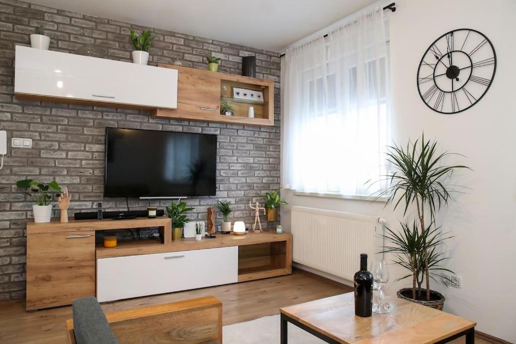 Nusha's Place Apartment